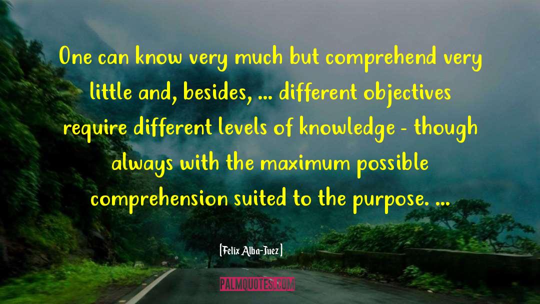 Comprehension quotes by Felix Alba-Juez