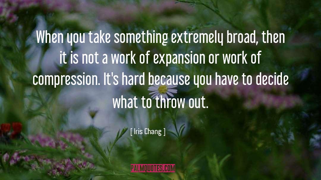 Compression quotes by Iris Chang