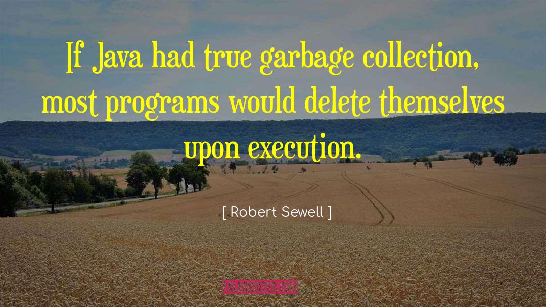 Computer Language quotes by Robert Sewell