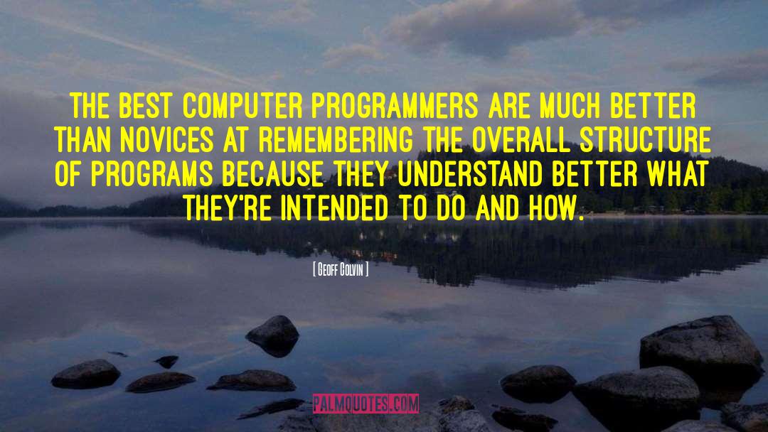 Computer Programmers quotes by Geoff Colvin