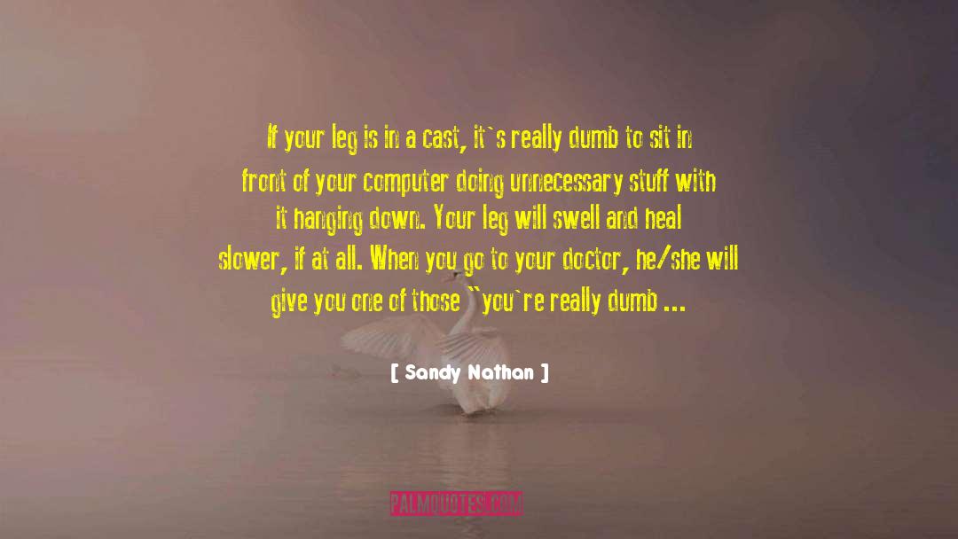 Computer Software quotes by Sandy Nathan