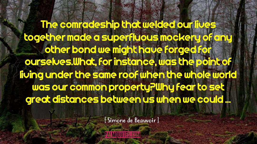 Comradeship quotes by Simone De Beauvoir