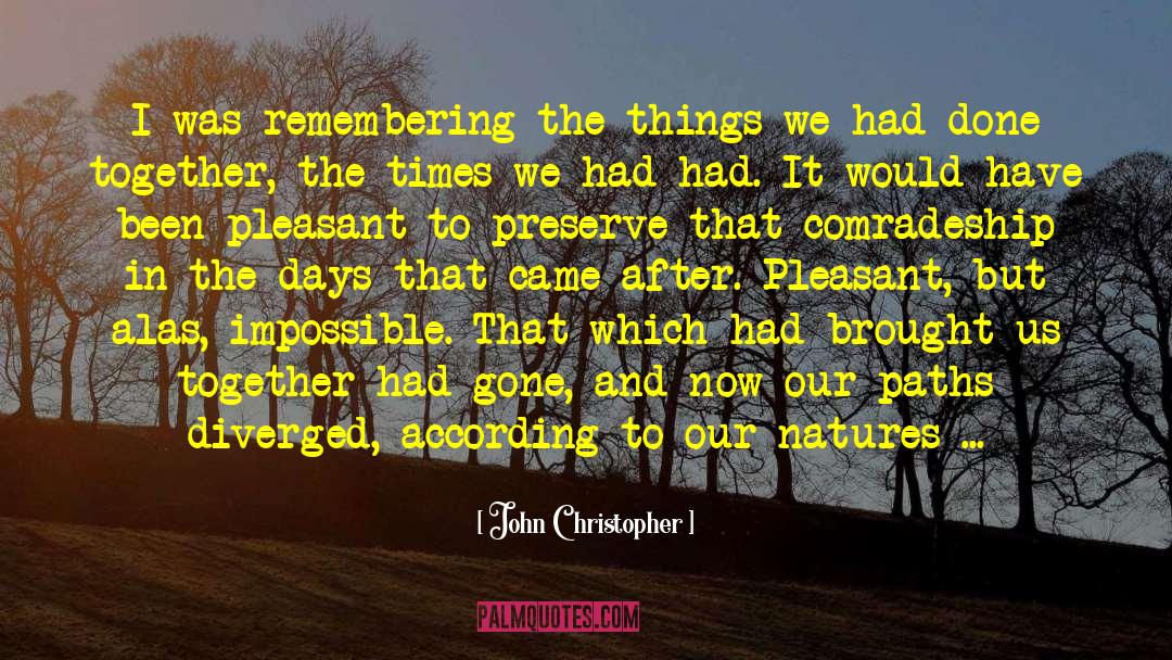 Comradeship quotes by John Christopher