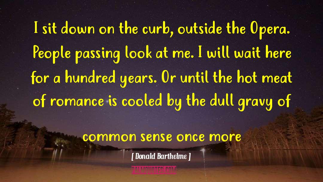 Comtemporary Romance quotes by Donald Barthelme
