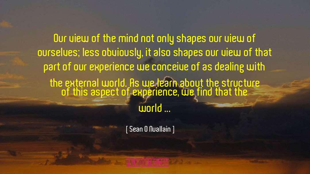 Con Consciousness And Cognition quotes by Sean O Nuallain