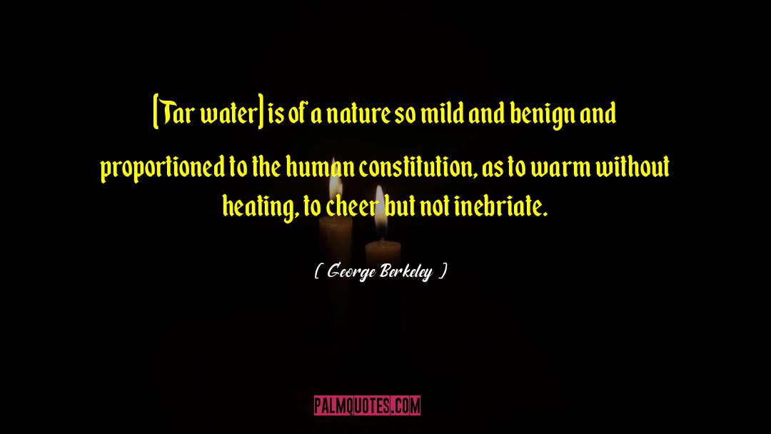 Conatser Heating quotes by George Berkeley