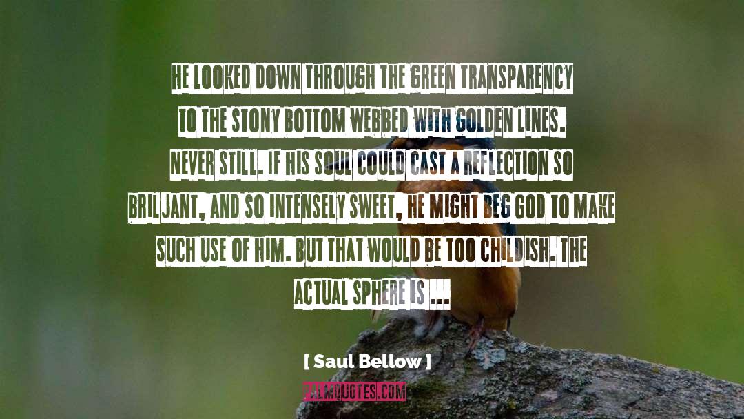 Conceal quotes by Saul Bellow
