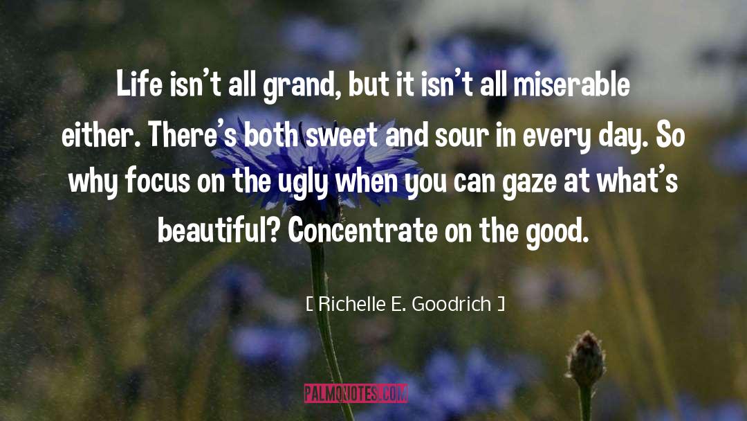 Concentrate On Self quotes by Richelle E. Goodrich
