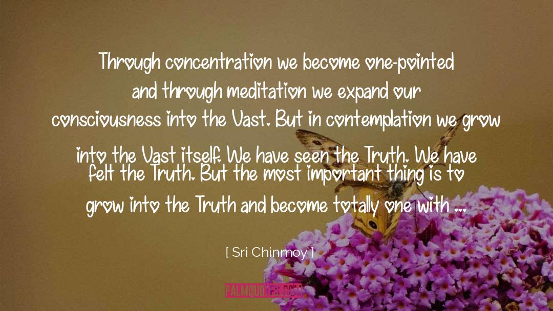 Concentrating quotes by Sri Chinmoy
