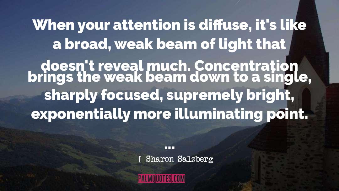 Concentration quotes by Sharon Salzberg