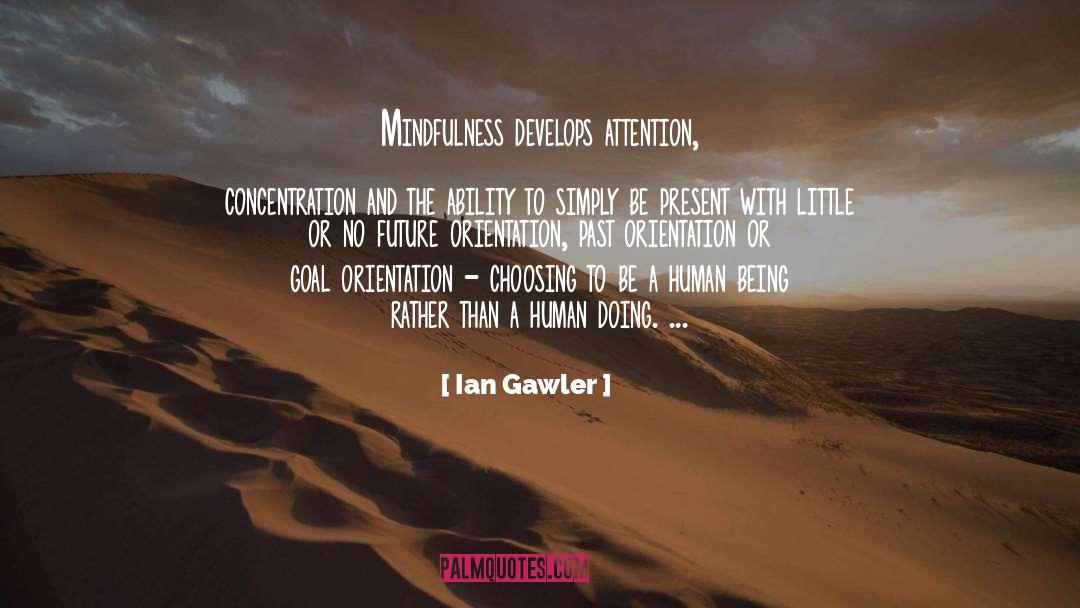 Concentration quotes by Ian Gawler