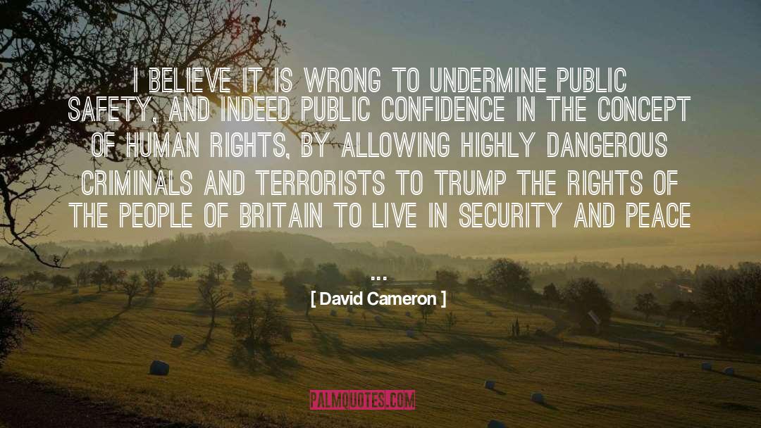 Concept And Conception quotes by David Cameron