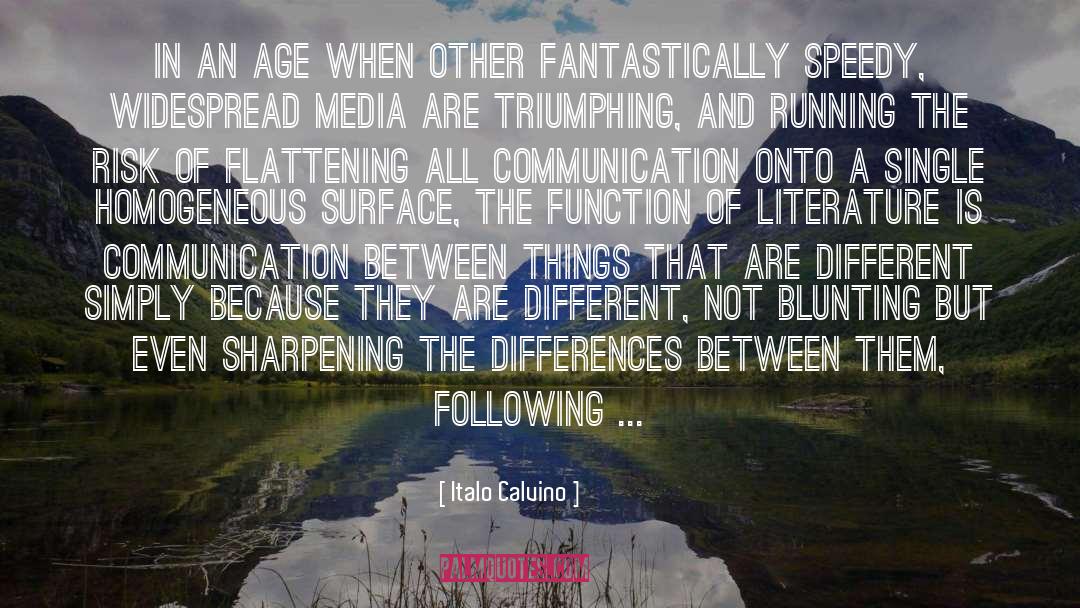 Conceptualising Communication quotes by Italo Calvino