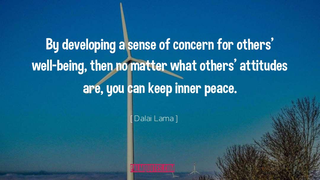 Concern For Others quotes by Dalai Lama