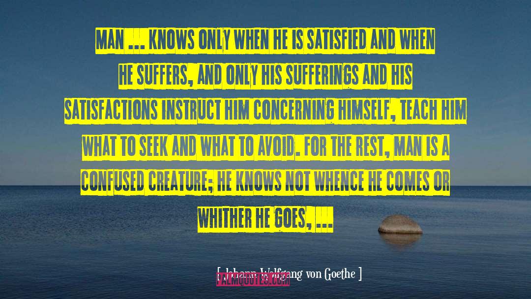 Concerning quotes by Johann Wolfgang Von Goethe