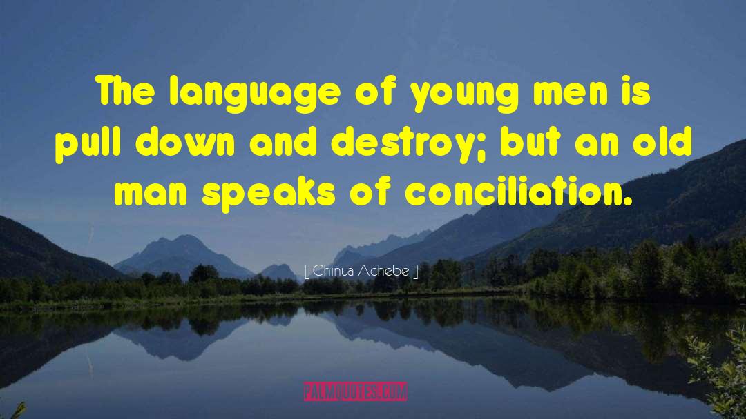 Conciliation quotes by Chinua Achebe