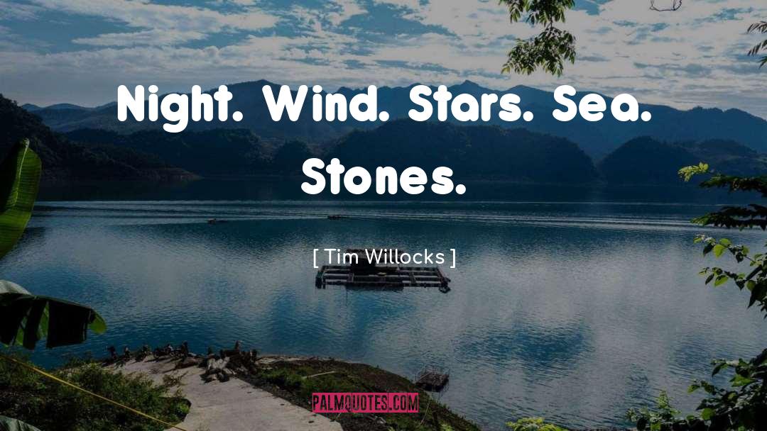 Concise quotes by Tim Willocks