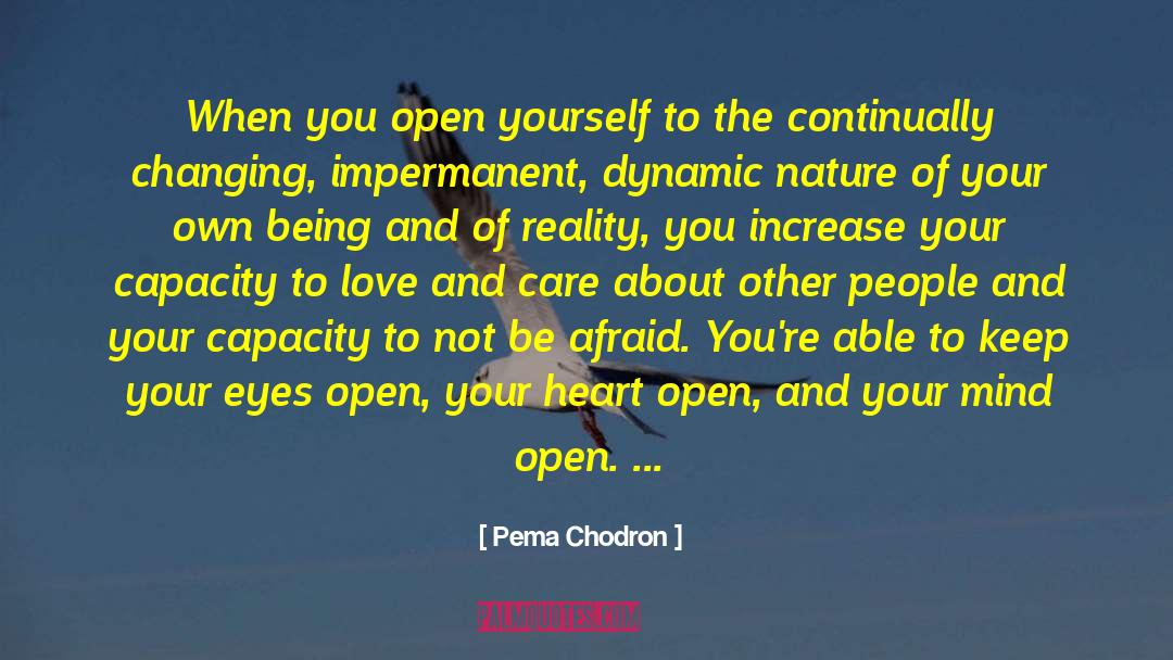 Concision Bias quotes by Pema Chodron