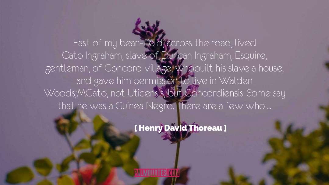 Concord quotes by Henry David Thoreau