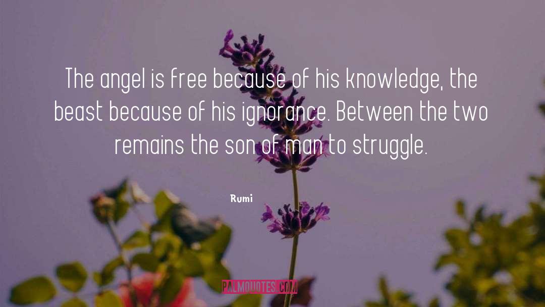 Concrete Angel quotes by Rumi