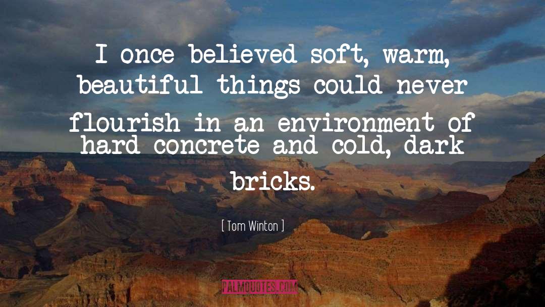 Concrete Blonde quotes by Tom Winton