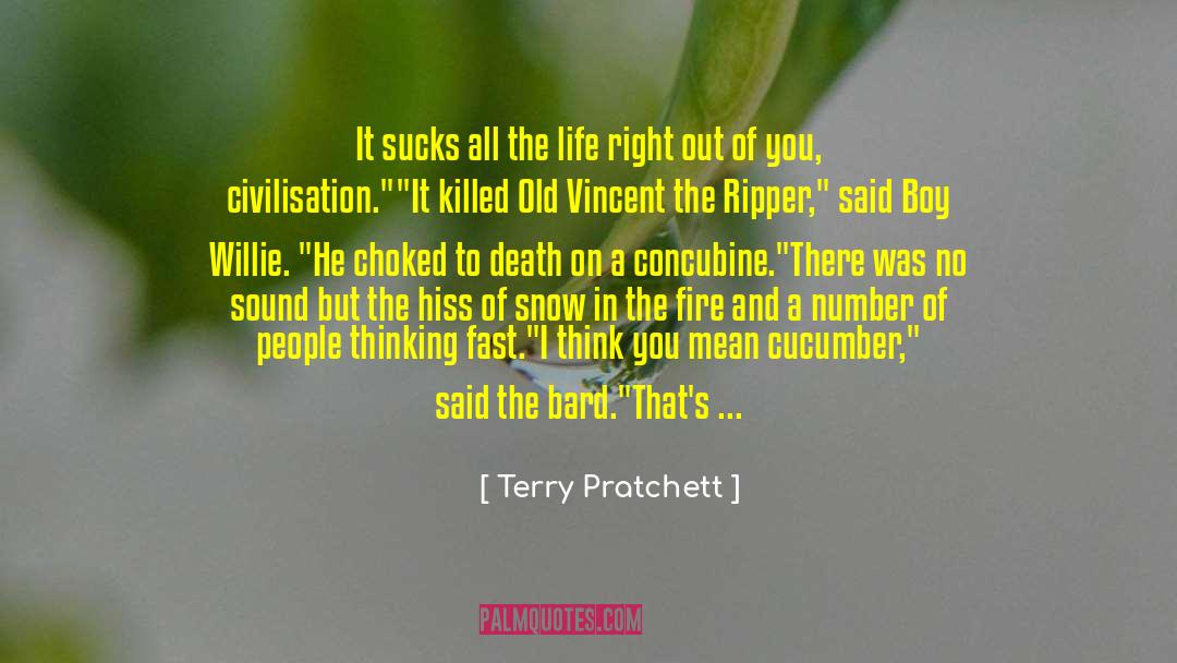 Concubine quotes by Terry Pratchett
