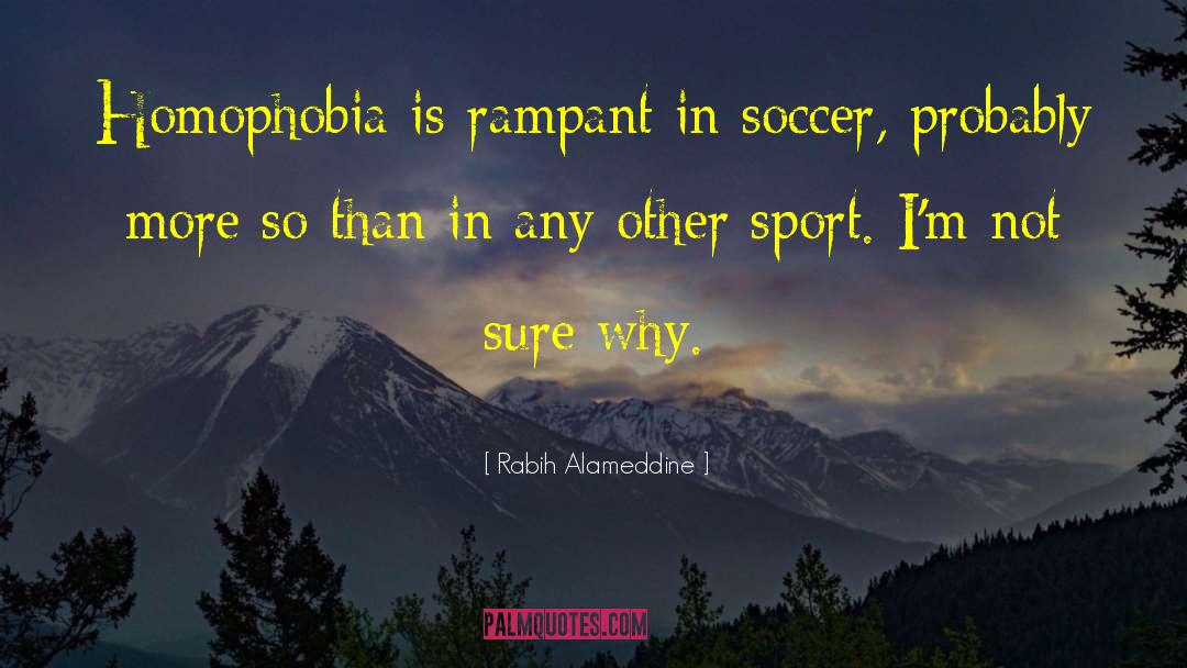 Concussions In Soccer quotes by Rabih Alameddine