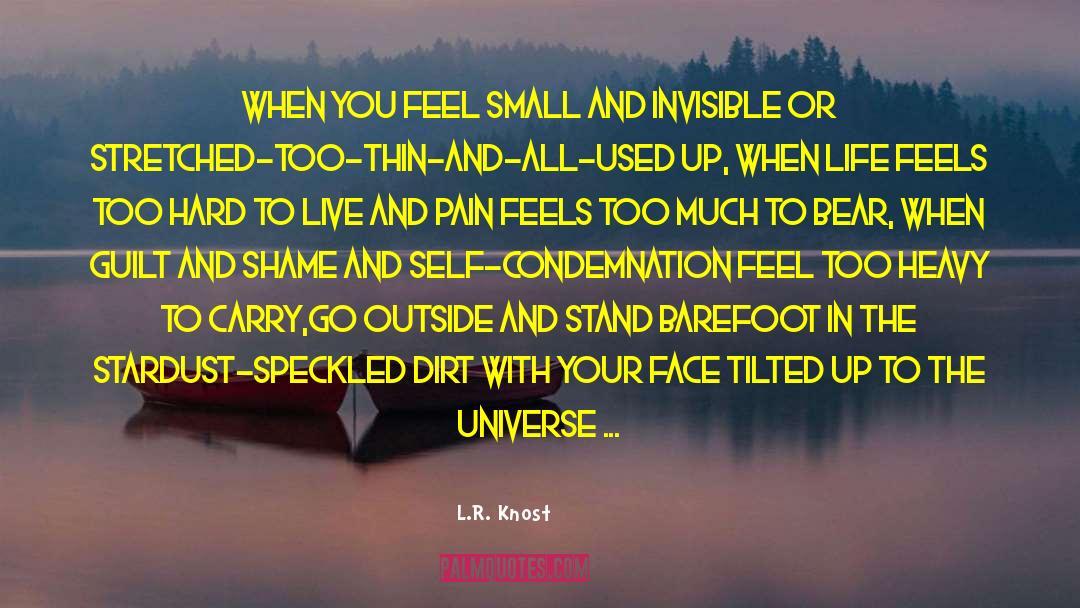 Condemnation quotes by L.R. Knost