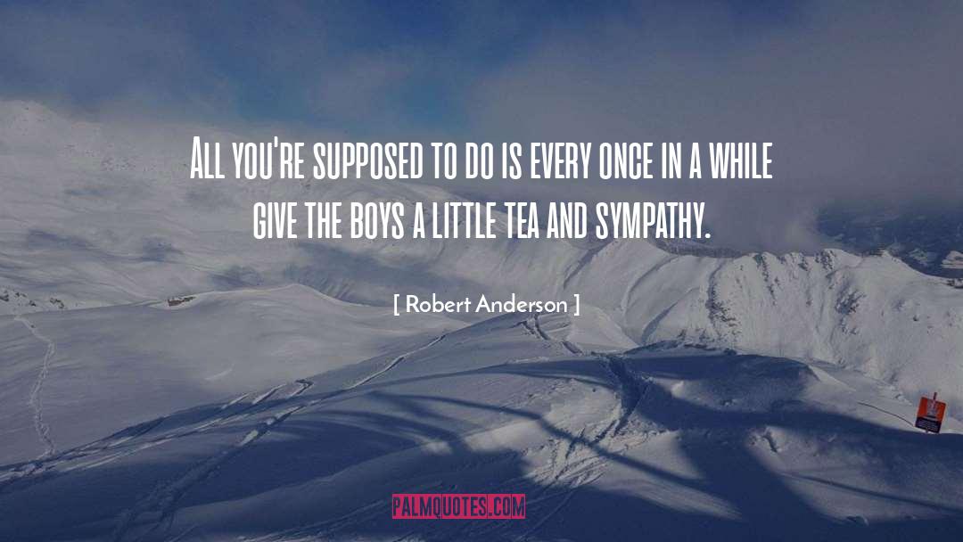 Condolence Inspirational Sympathy quotes by Robert Anderson