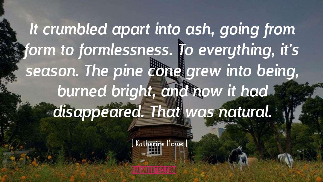 Cone quotes by Katherine Howe