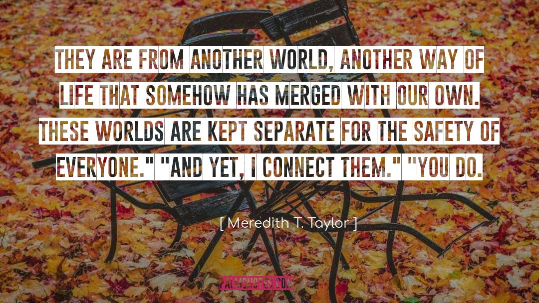 Conection quotes by Meredith T. Taylor