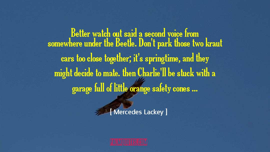 Cones quotes by Mercedes Lackey