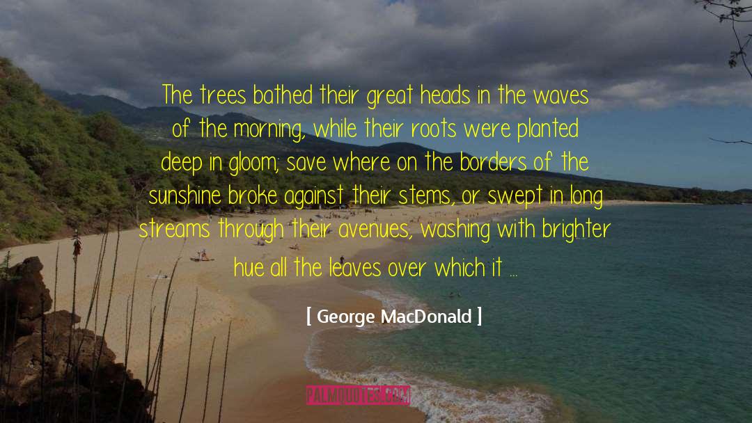 Cones quotes by George MacDonald