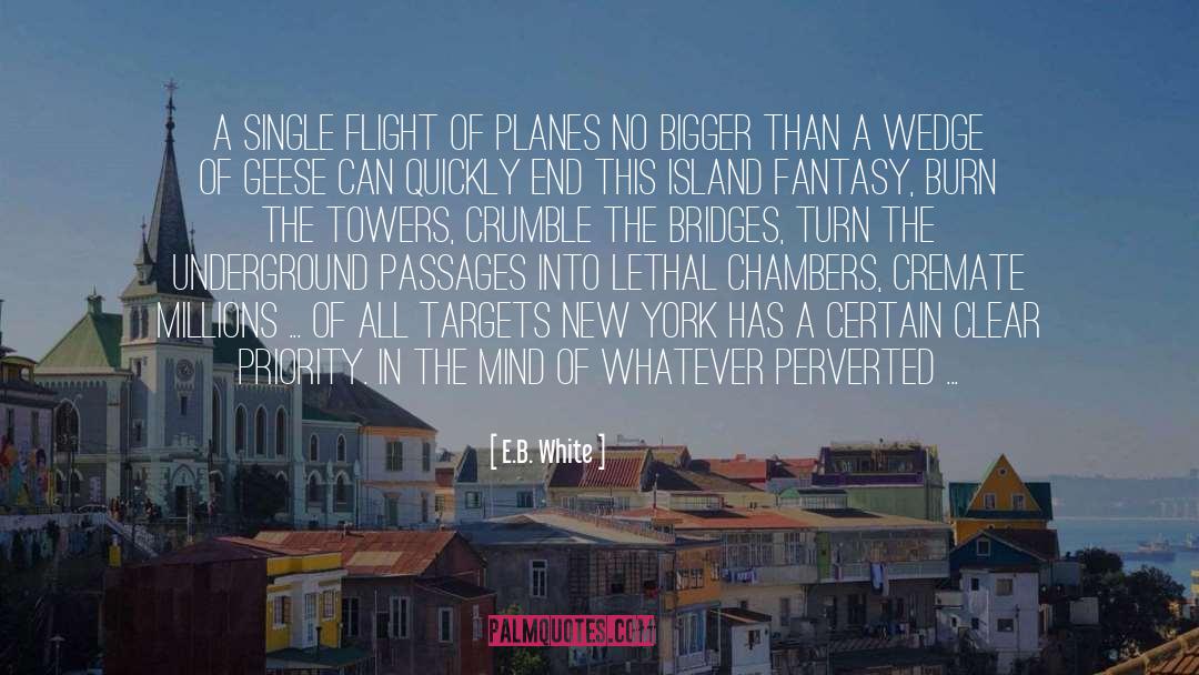 Coney Island quotes by E.B. White