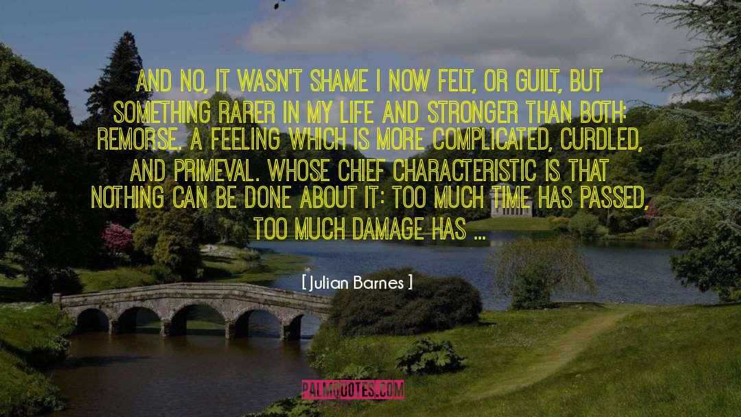 Confession Remorse Guilt Purpose quotes by Julian Barnes