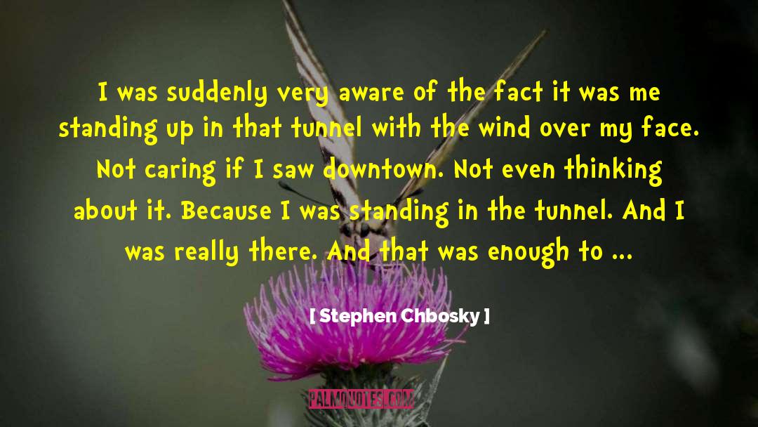 Confessions Of A Wallflower quotes by Stephen Chbosky