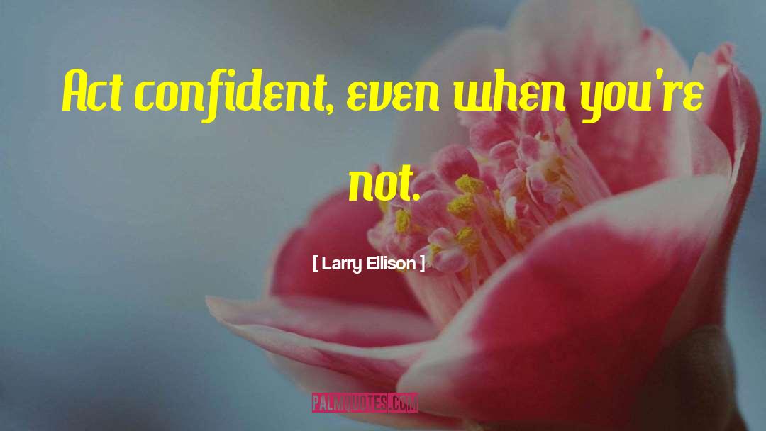 Confidence And Love quotes by Larry Ellison