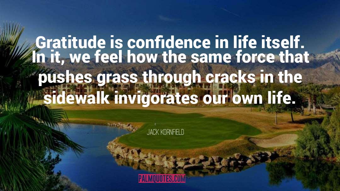 Confidence In Life quotes by Jack Kornfield