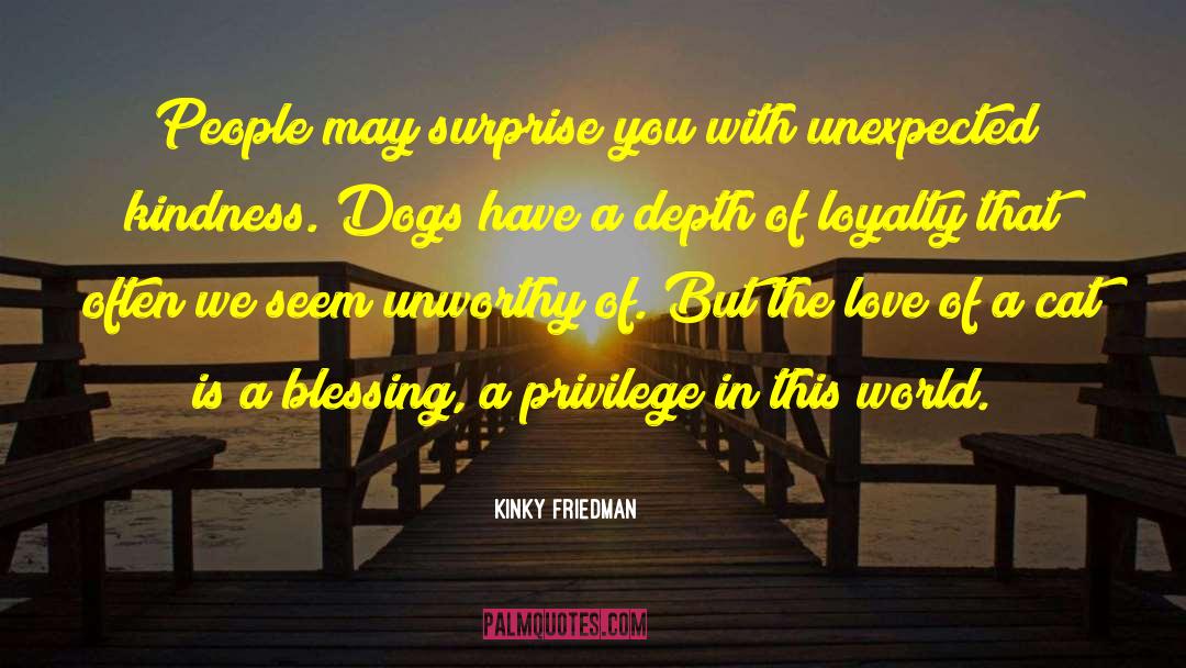 Confidence Love quotes by Kinky Friedman