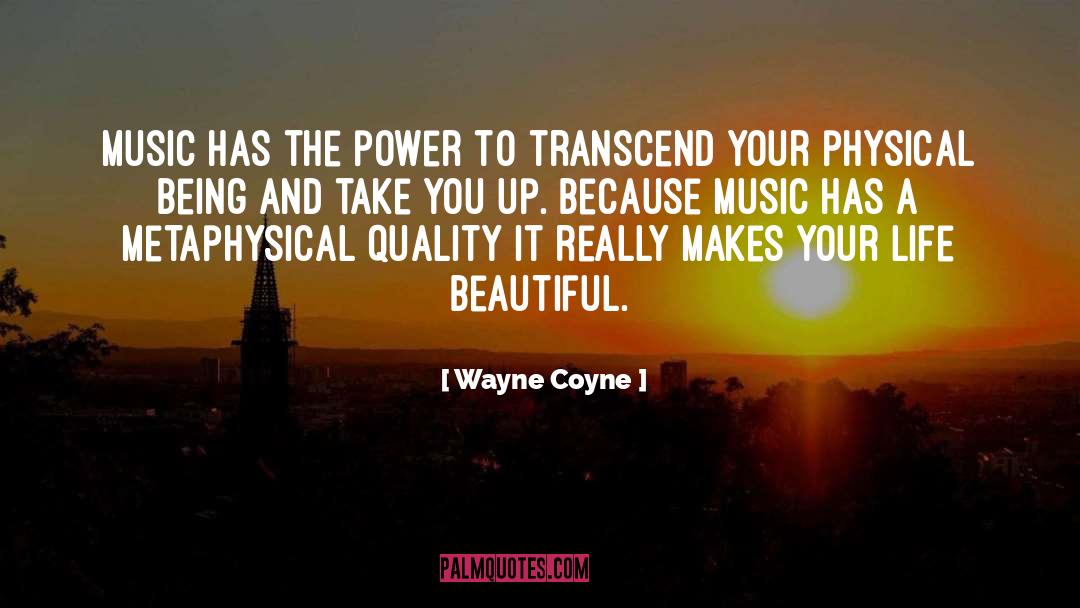 Confidence Makes You Beautiful quotes by Wayne Coyne