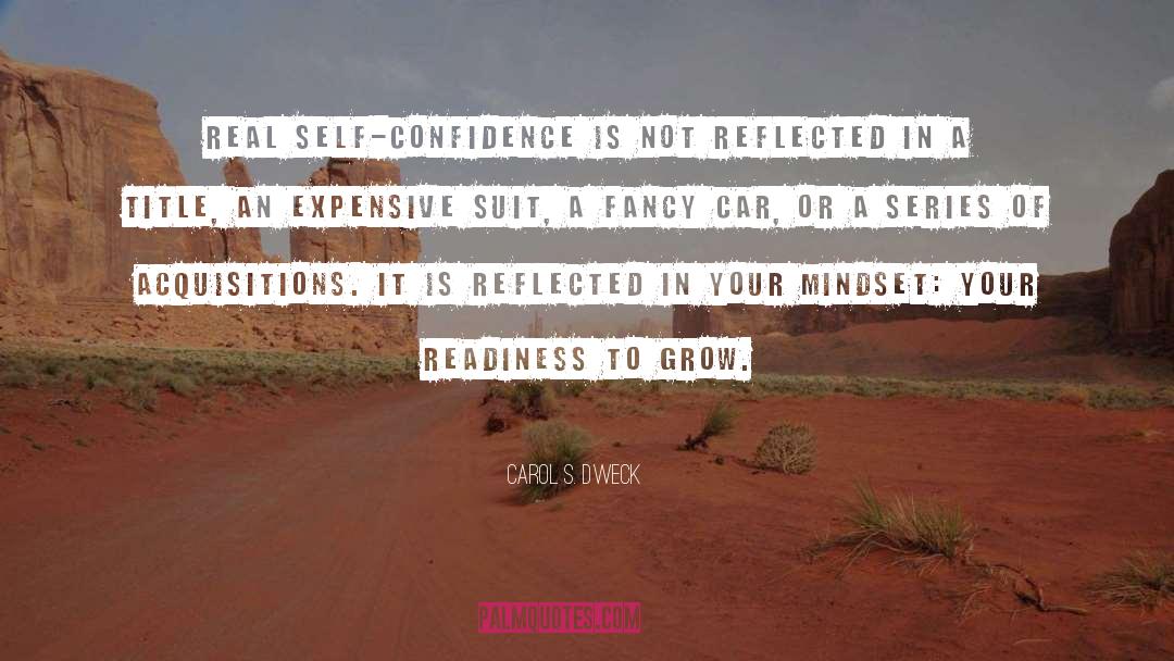 Confidence quotes by Carol S. Dweck
