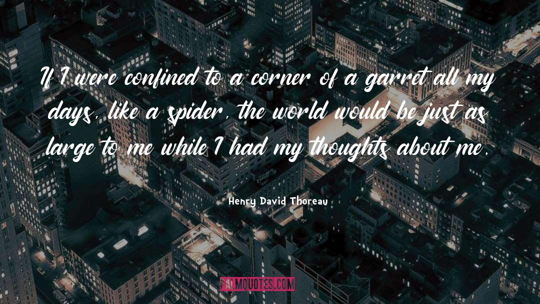 Confined World quotes by Henry David Thoreau