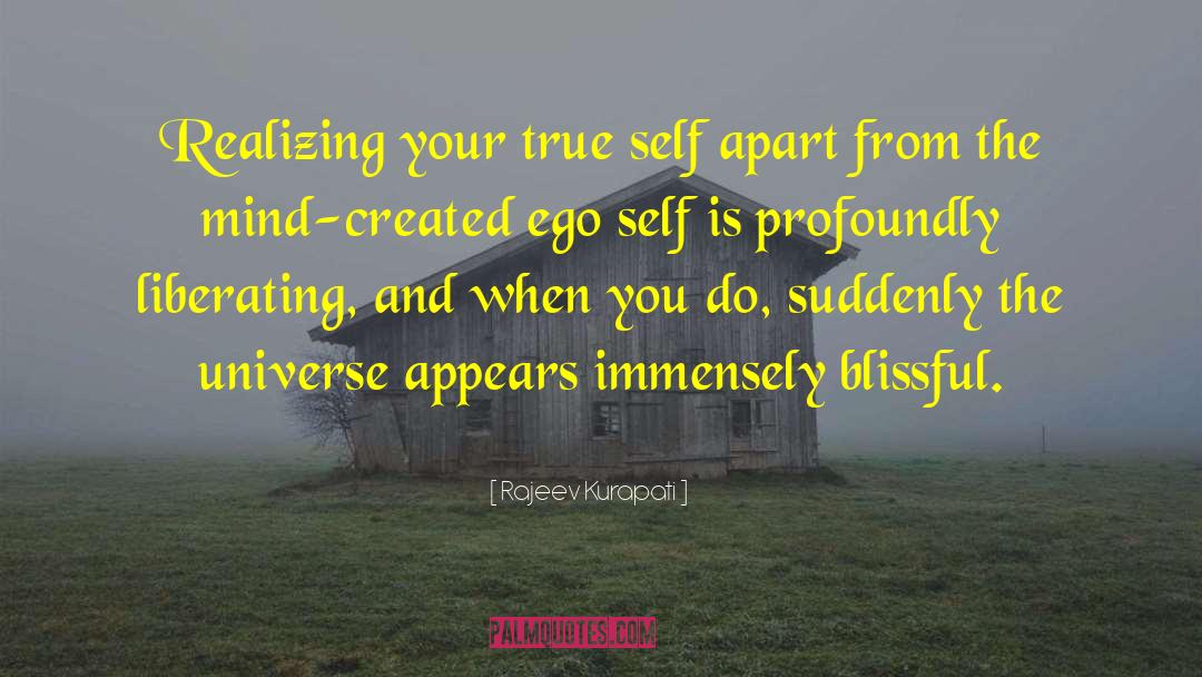 Conflict Between Spirit And Ego quotes by Rajeev Kurapati