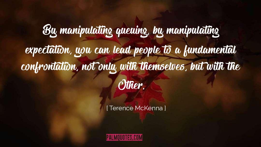 Confrontation quotes by Terence McKenna