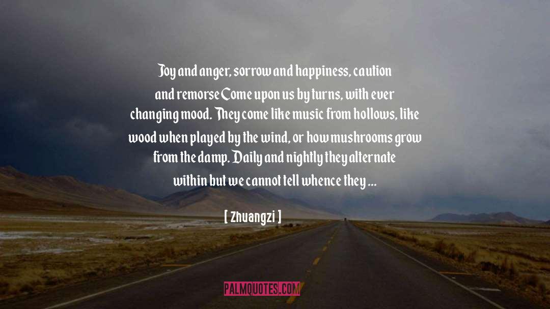 Confused Emotions quotes by Zhuangzi