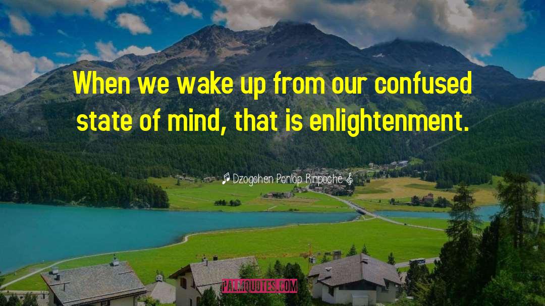Confused Mind quotes by Dzogchen Ponlop Rinpoche