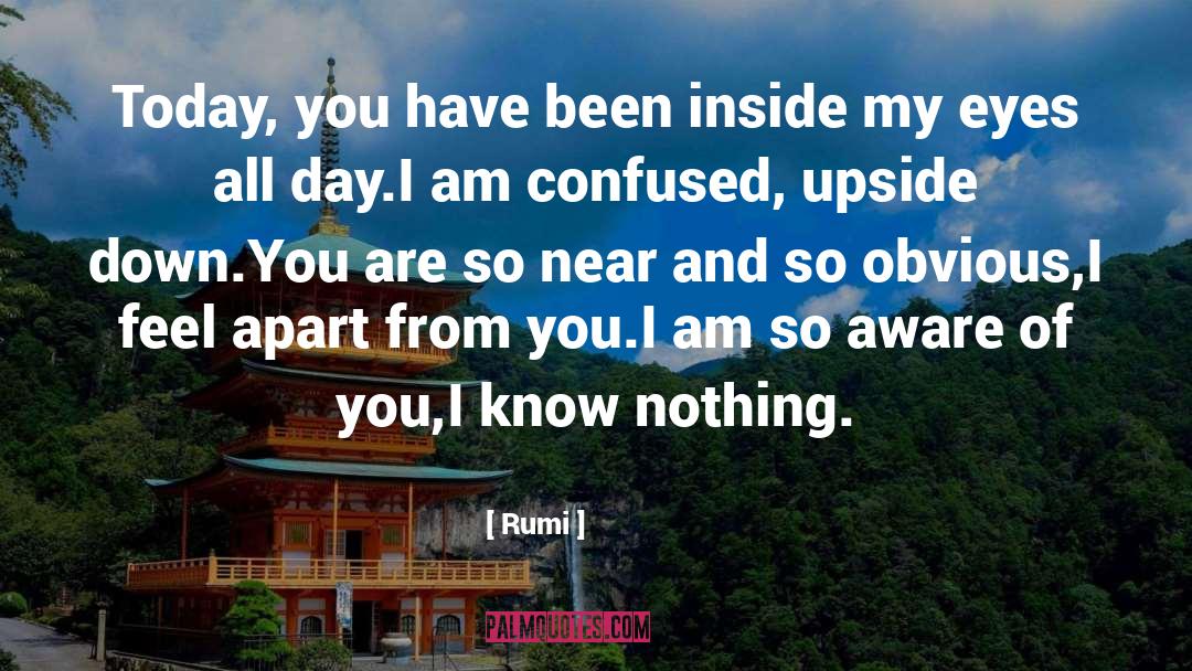 Confused quotes by Rumi