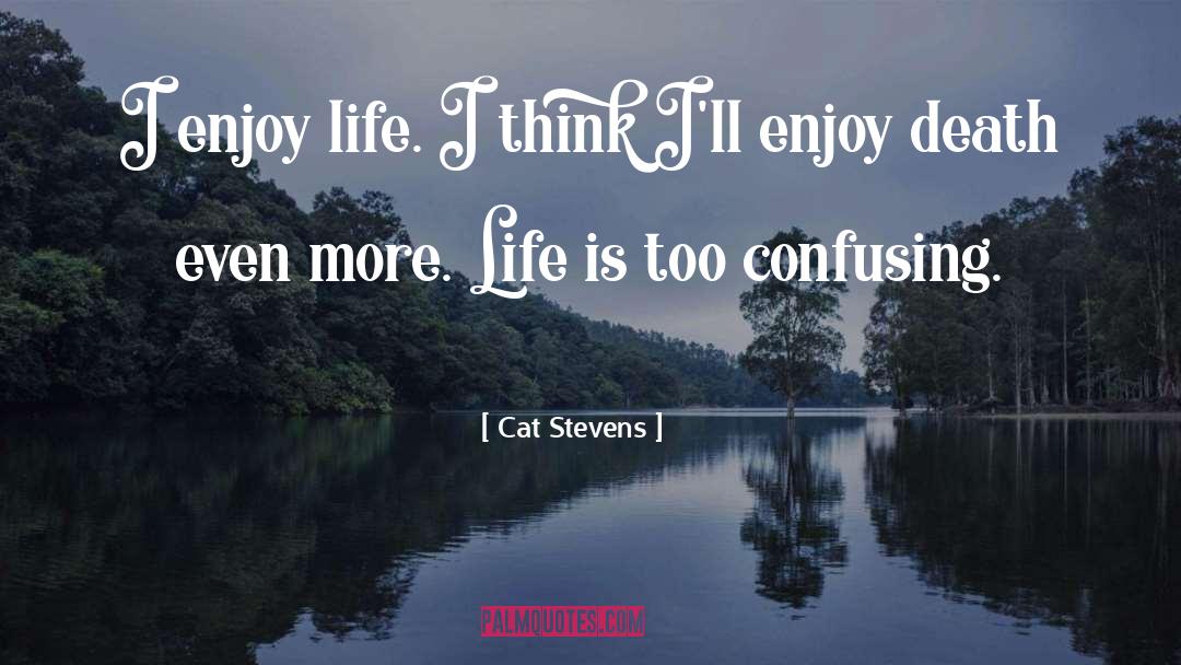 Confusing quotes by Cat Stevens