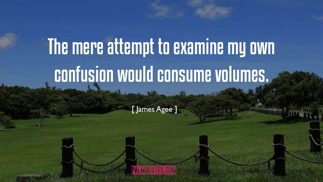 Confusion quotes by James Agee