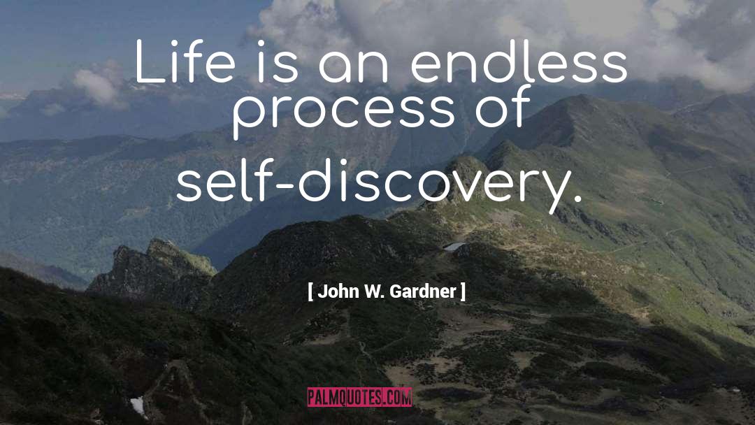 Confusion Self Discovery quotes by John W. Gardner
